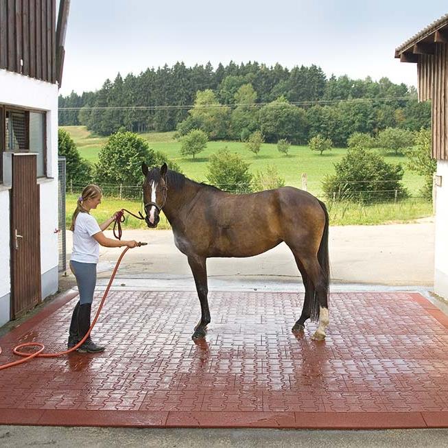 Wash Bays for Horses Jelka
